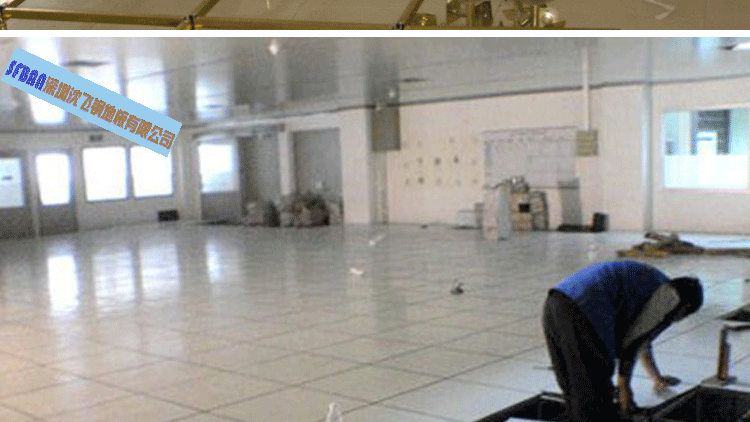 深圳沈飛9 深圳沈飛9