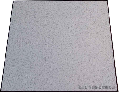 非標高架活動地板600*600*35 非標高架活動地板600*600*35